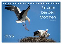 Ein Jahr bei den Störchen (Tischkalender 2025 DIN A5 quer), CALVENDO Monatskalender