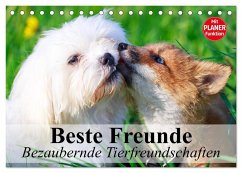 Beste Freunde. Bezaubernde Tierfreundschaften (Tischkalender 2025 DIN A5 quer), CALVENDO Monatskalender