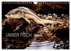 UNSER FISCH. SÜßWASSER. (Wandkalender 2025 DIN A4 quer), CALVENDO Monatskalender - Calvendo;morgenstern, arne