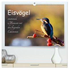 Eisvögel - emotionale Momente mit den fliegenden Edelsteinen (hochwertiger Premium Wandkalender 2025 DIN A2 quer), Kunstdruck in Hochglanz - Calvendo;Kalanke, Jens