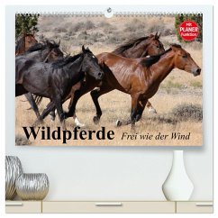 Wildpferde. Frei wie der Wind (hochwertiger Premium Wandkalender 2025 DIN A2 quer), Kunstdruck in Hochglanz - Calvendo;Stanzer, Elisabeth