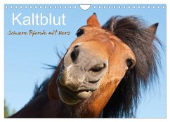 Kaltblut - schwere Pferde mit Herz (Wandkalender 2025 DIN A4 quer), CALVENDO Monatskalender