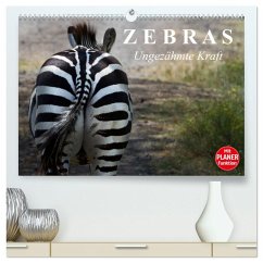 Zebras - Ungezähmte Kraft (hochwertiger Premium Wandkalender 2025 DIN A2 quer), Kunstdruck in Hochglanz