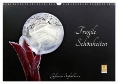 Fragile Schönheiten - Gefrorene Seifenblasen (Wandkalender 2025 DIN A3 quer), CALVENDO Monatskalender - Calvendo;Schiller-Bauer, Sigrid