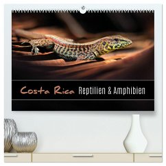 Costa Rica - Reptilien und Amphibien (hochwertiger Premium Wandkalender 2025 DIN A2 quer), Kunstdruck in Hochglanz