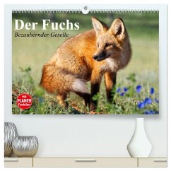 Der Fuchs. Bezaubernder Geselle (hochwertiger Premium Wandkalender 2025 DIN A2 quer), Kunstdruck in Hochglanz - Calvendo;Stanzer, Elisabeth