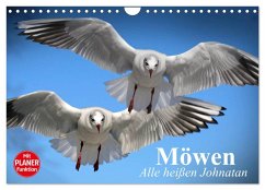 Möwen. Alle heißen Johnatan (Wandkalender 2025 DIN A4 quer), CALVENDO Monatskalender