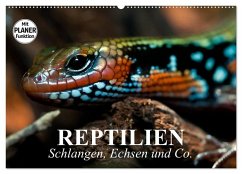 Reptilien. Schlangen, Echsen und Co. (Wandkalender 2025 DIN A2 quer), CALVENDO Monatskalender