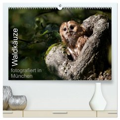 Waldkäuze, fotografiert in München (hochwertiger Premium Wandkalender 2025 DIN A2 quer), Kunstdruck in Hochglanz