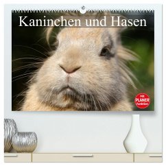Kaninchen und Hasen (hochwertiger Premium Wandkalender 2025 DIN A2 quer), Kunstdruck in Hochglanz - Calvendo;Stanzer, Elisabeth