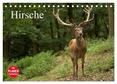 Hirsche (Tischkalender 2025 DIN A5 quer), CALVENDO Monatskalender