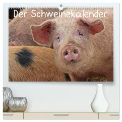 Der Schweinekalender (hochwertiger Premium Wandkalender 2025 DIN A2 quer), Kunstdruck in Hochglanz - Calvendo;Schmutzler-Schaub, Christine