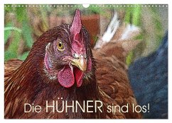 Die Hühner sind los! (Wandkalender 2025 DIN A3 quer), CALVENDO Monatskalender
