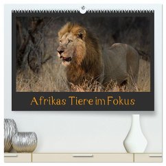 Afrikas Tiere im Fokus (hochwertiger Premium Wandkalender 2025 DIN A2 quer), Kunstdruck in Hochglanz - Calvendo;Schörkhuber, Johann