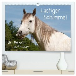 Lustiger Schimmel - ein Pferd mit Humor (hochwertiger Premium Wandkalender 2025 DIN A2 quer), Kunstdruck in Hochglanz