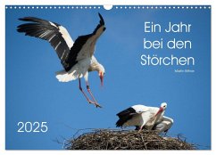 Ein Jahr bei den Störchen (Wandkalender 2025 DIN A3 quer), CALVENDO Monatskalender