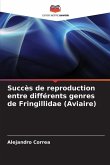 Succès de reproduction entre différents genres de Fringillidae (Aviaire)