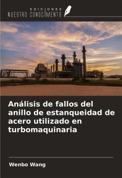 Cover Análisis de fallos del anillo de estanqueidad de acero utilizado en turbomaquinaria