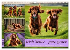 Irish Setter - pure grace (Wall Calendar 2025 DIN A3 landscape), CALVENDO 12 Month Wall Calendar