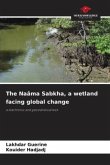 The Naâma Sabkha, a wetland facing global change