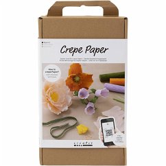 Creativ Company DIY Sets Krepppapier Starter Kreativ Set Krepppapier, Sortierte Farben, 105 g, Kreativ Box