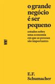 O grande negócio é ser pequeno (eBook, ePUB)