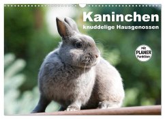 Kaninchen - knuddelige Hausgenossen (Wandkalender 2025 DIN A3 quer), CALVENDO Monatskalender - Calvendo;Verena Scholze, Fotodesign