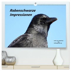 Rabenschwarze Impressionen - meike-ajo-dettlaff.de via wildvogelhlfe.org (hochwertiger Premium Wandkalender 2025 DIN A2 quer), Kunstdruck in Hochglanz