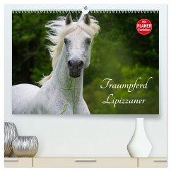 Traumpferd Lipizzaner (hochwertiger Premium Wandkalender 2025 DIN A2 quer), Kunstdruck in Hochglanz - Calvendo;Starick, Sigrid