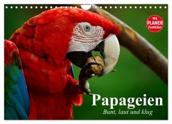 Papageien. Bunt, laut und klug (Wandkalender 2025 DIN A4 quer), CALVENDO Monatskalender
