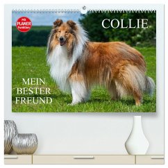 Collie - Mein bester Freund (hochwertiger Premium Wandkalender 2025 DIN A2 quer), Kunstdruck in Hochglanz