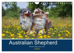 Australian Shepherd 2025 (Wandkalender 2025 DIN A4 quer), CALVENDO Monatskalender - Calvendo;Mirsberger, Annett