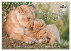 Emotionale Momente: Löwenbabys - so süß. (Tischkalender 2025 DIN A5 quer), CALVENDO Monatskalender - Calvendo;Gerlach, Ingo
