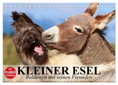 Kleiner Esel. Boldewyn mit seinen Freunden (Tischkalender 2025 DIN A5 quer), CALVENDO Monatskalender