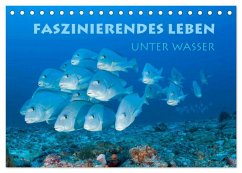 Faszinierendes Leben unter Wasser (Tischkalender 2025 DIN A5 quer), CALVENDO Monatskalender - Calvendo;Peyer, Stephan