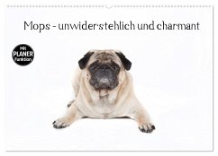Mops - unwiderstehlich und charmant (Wandkalender 2025 DIN A2 quer), CALVENDO Monatskalender - Calvendo;Verena Scholze, Fotodesign