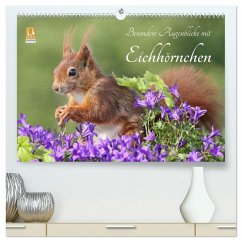 Besondere Augenblicke mit Eichhörnchen (hochwertiger Premium Wandkalender 2025 DIN A2 quer), Kunstdruck in Hochglanz - Calvendo;Meier, Tine