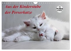 Aus der Kinderstube der Perserkatze (Wandkalender 2025 DIN A4 quer), CALVENDO Monatskalender