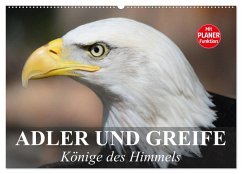 Adler und Greife. Könige des Himmels (Wandkalender 2025 DIN A2 quer), CALVENDO Monatskalender