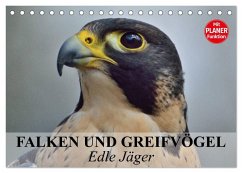 Falken und Greifvögel - Edle Jäger (Tischkalender 2025 DIN A5 quer), CALVENDO Monatskalender