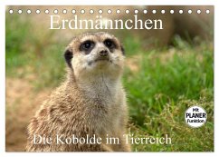 Erdmännchen - Die Kobolde im Tierreich (Tischkalender 2025 DIN A5 quer), CALVENDO Monatskalender