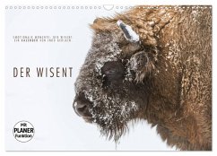 Emotionale Momente: Der Wisent. (Wandkalender 2025 DIN A3 quer), CALVENDO Monatskalender