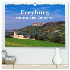 Freyburg - Die Perle im Unstruttal (hochwertiger Premium Wandkalender 2025 DIN A2 quer), Kunstdruck in Hochglanz