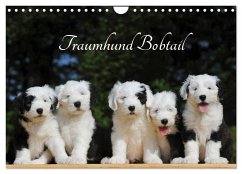 Traumhund Bobtail (Wandkalender 2025 DIN A4 quer), CALVENDO Monatskalender