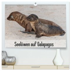 Seelöwen auf Galapagos (hochwertiger Premium Wandkalender 2025 DIN A2 quer), Kunstdruck in Hochglanz