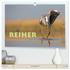 Reiher - Der Tanz auf dem Wasser (hochwertiger Premium Wandkalender 2025 DIN A2 quer), Kunstdruck in Hochglanz - Calvendo;Peyer, Stephan