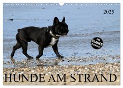 HUNDE AM STRAND (Wandkalender 2025 DIN A3 quer), CALVENDO Monatskalender