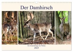 Der Damhirsch - Der Schaufelträger des Waldes (Wandkalender 2025 DIN A3 quer), CALVENDO Monatskalender