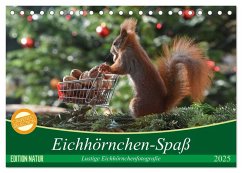 Eichhörnchen-Spaß (Tischkalender 2025 DIN A5 quer), CALVENDO Monatskalender