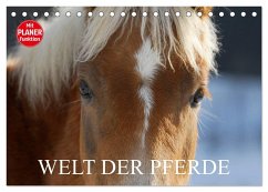 Welt der Pferde (Tischkalender 2025 DIN A5 quer), CALVENDO Monatskalender